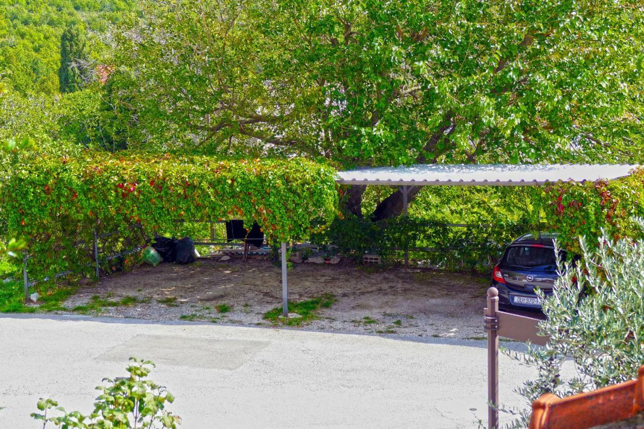 Villa Martinovic ดูบรอฟนิก ภายนอก รูปภาพ